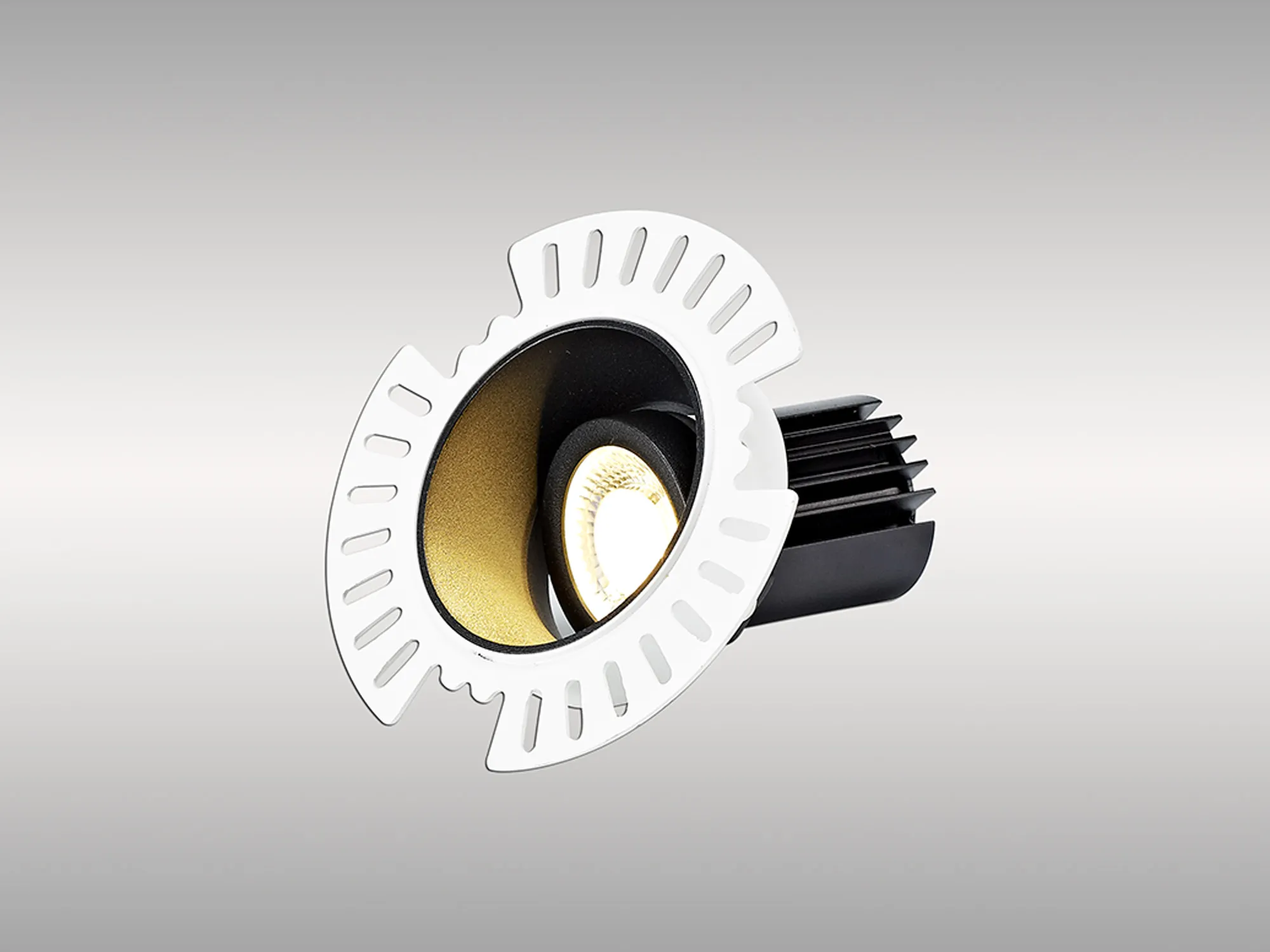 DM201866  Basy A 12 Tridonic Powered 12W 2700K 1200lm 24° CRI>90 LED Engine Black Adjustable Recessed Spotlight, IP20